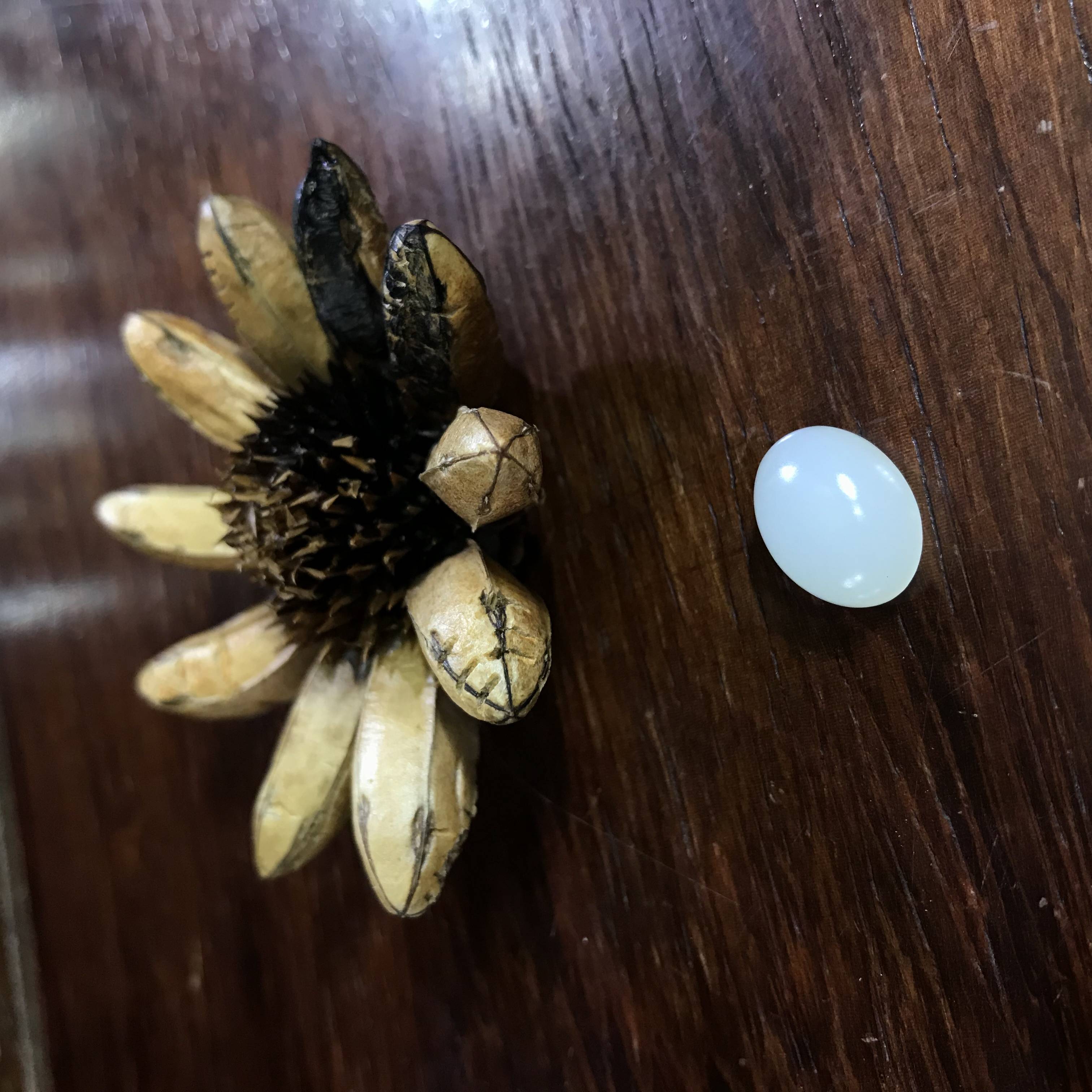 白玉戒面