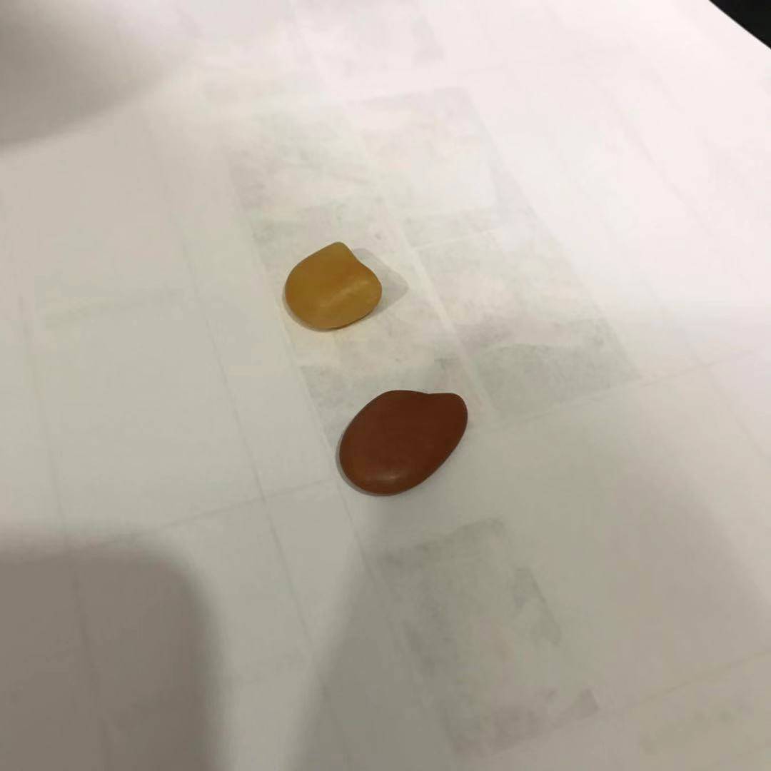 白玉独籽 （2颗）