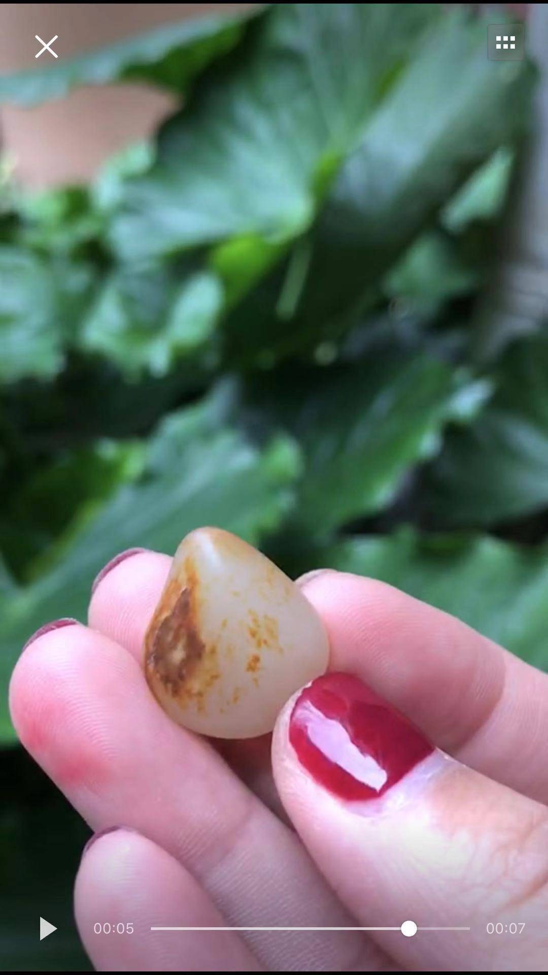 独籽（1颗）
