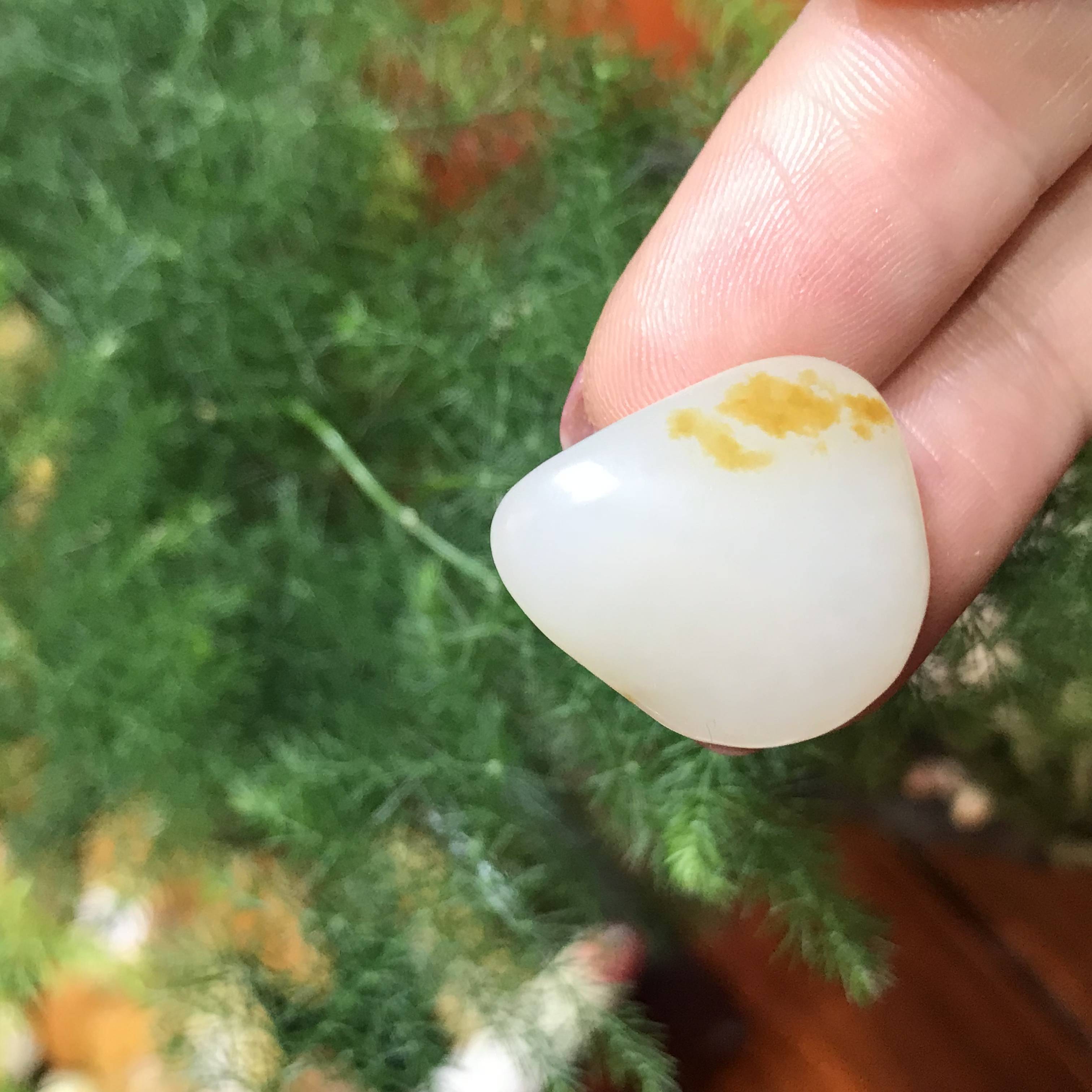 独籽 （1颗）