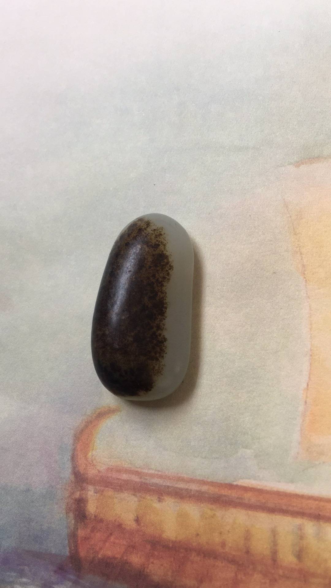 褐皮独籽（1颗）7g