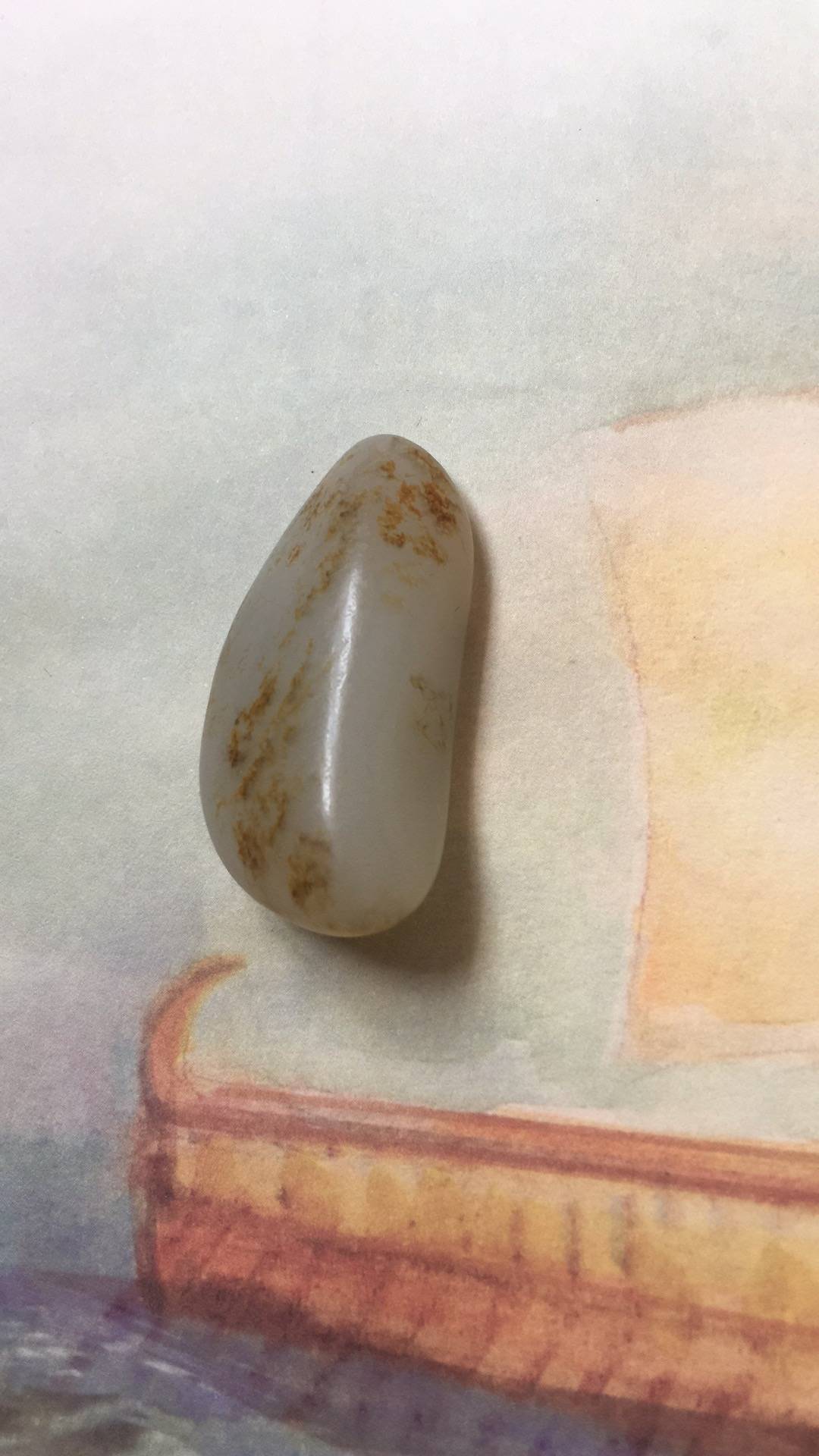 黄皮独籽（1颗）11.2g
