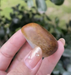 新疆和田玉独籽
